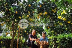 Đất nền y tý diện tích rộng, giá cực rẻ, lợi nhuận kép từ nông nghiệp và du lịch