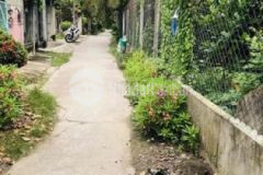 Cần ra đi lô đất ba mới chia để xây nhà