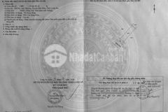Ban dat d a daresco duc hoa long an chủ