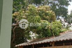 Bán biệt thự nghỉ dưỡng