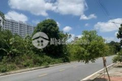 Bán đất mp hòa bình tp hd 195 6m2 mt 6 62m