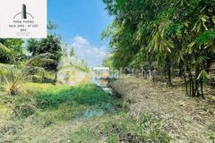 800tr 1 sào có lô đất vườn trái cây có sẵn hồ cá