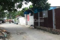 Cần tìm chủ mới cho em