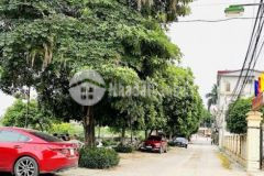 Bán mảnh đất bắc từ liêm 170m2 ô tô lô góc 9 tỷ