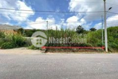 Bán đất mặt tiền đường chính thành phố đà lạt