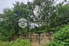 Bán đất thành phố đà lạt 773m