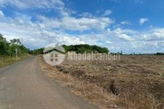 Chính chủ ra gấp đất sát ql13 420tr 250m 100 thổ c