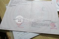 Mặt tiền bờ mồi 10tm