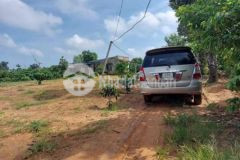 Thổ 60 vườn 500 nhỏ nhỏ dễ mua bán giá bèo