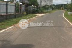 Chính chủ 3000m2 đất vườn 1 sào 230 triệu