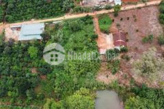 Chính chủ bán đất sào ven đà lạt 16x65 chỉ 1 550ti