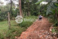 Bán đất nông nghiệp hẻm cấp 1 nguyễn xuân nguyên