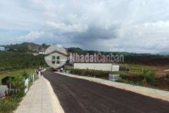 Đất thổ cư 176m² view đồi chè chỉ 1tỷ059