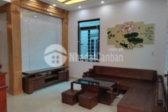 Bán nhà ngõ phố đàm lộc tân bình hải dương