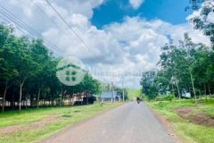 Đất sổ đỏ 250m2 mặt tiền dh đẫ có dân