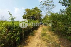 Bán 1450m có 1000m thổ cư tại ân nghĩa lạc sơn