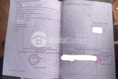 Bán giá 330k trong 3 ngày cách chợ thái an 1km