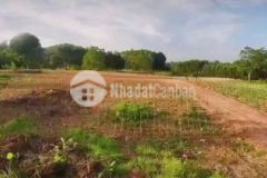 Nguyên quả đồi phẳng tại yên thế chưa đến 1trm2