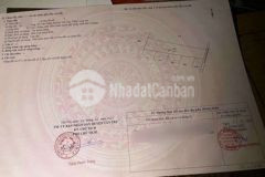 Hàng ngộp mỹ bình tân trụ shr đường oto