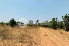 Cắt lỗ lô đất tt chợ lầu chỉ500tr đường liên huyện