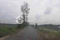 3 35ha 2 mặt tiền đường trương văn sanh tân phước