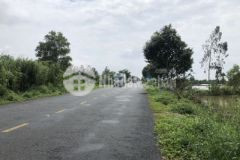 Đất làm trang trại heo gà tại cần thơ dt36 000m2