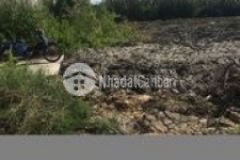 Bán 15000m2 đất bà xán có sổ đỏ