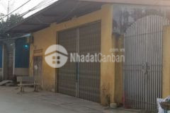 Bán đất đường liên xã đông phương yên 175m2