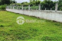 Bán gấp 439m2 thổ cư tại hòa khánh1 020tr tl shr