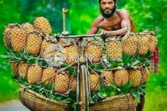 Kèo thơm mt lê văn lương phước kiểng