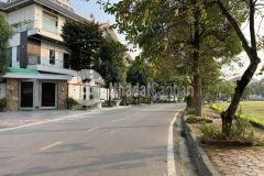 Bán đất khu biệt thự cao cấp đỉnh long, ph tân bình, tp hd, 195.75m2, mt 11.5m, đường 13.5m