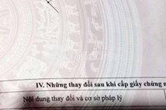 Bán đất 292m² ấp hoà hưng xã long đức huyện long phú tỉnh sóc trăng, xã long đức, huyện long phú,