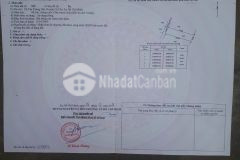 Chủ bán lô đất 100m2 đường trần tử bình,tân thông hội củ chi,shr giá 840 triệu.