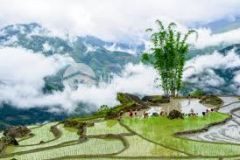 Siêu phẩm đất nền y tý sapa2, giá rẻ tiềm năng tăng giá cao...