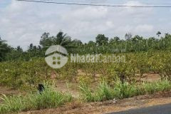 Bán đất 2317m² thị trấn kế sách, huyện kế sách, sóc trăng