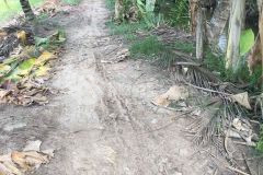 Bán đất 304m² ấp 1, xã châu khánh, huyện long phú, sóc trăng