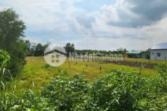 1000m2 đất vườn 11x88m đường ô tô được xây nhà