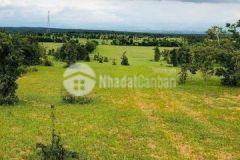 Còn lô tt chợ lầu cắt lỗ chỉ 75km2