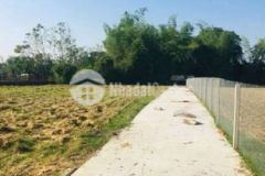 Bán đất hà tây 1 điện hoà hàng chưa qua đầu tư