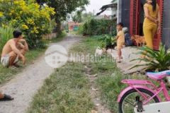 Cần bán lô đất 5x33 full thổ cư giá thương lượng