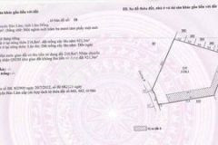 Cẩn bán gấp lô đất vườn sầu riêng 8 năm tuổi