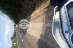 Cần bán gấp lô đất bằng đẹp giá bèo