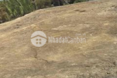 Bán vài lô sổ đỏ 96m2 đất biển cần giờ