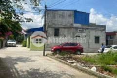 Bán lô góc chợ hoàng lâu kinh doanh đẹp