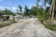 F0 sát nách tỉnh lộ 10c chỉ đầu 3xx triệu