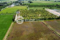 Chính chủ đất tam an đang quy hoạch mở đường lớn