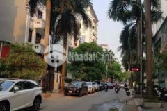 Bán biệt thự phố trần thái tông cầu giấy