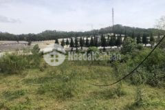 Bán 2000m2 đất view đẹp giá đầu tư 7trm p7 đà lạt