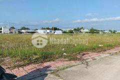 Đất nền thổ cư siêu rẻ hấp dẫn nhà đầu tư