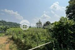 Đất341m2 full thổ cư bám đường bê tông tại đa phúc